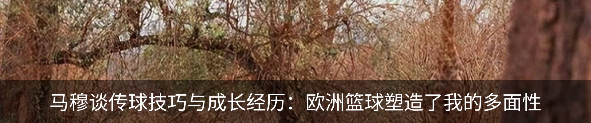 资讯动态